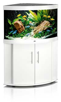 Aquariumbecken Form Grosse Und Volumen Aquarium Grundlagen
